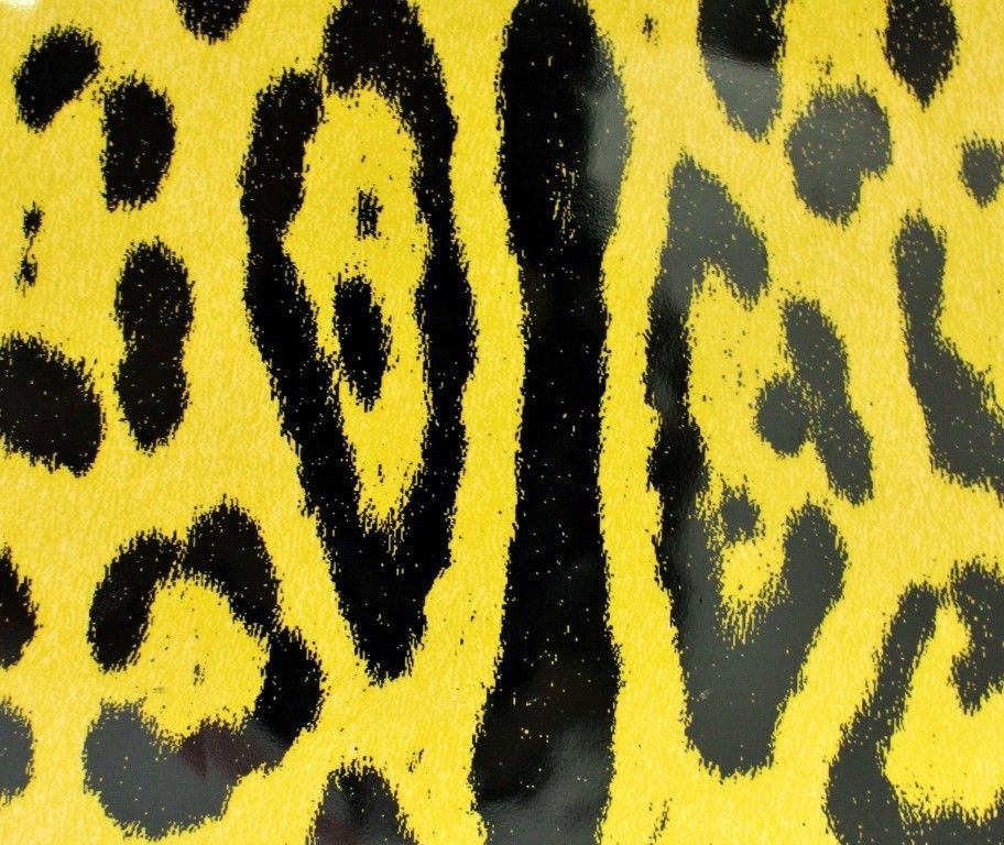 Tablet Case Dolce & Gabbana Chic Leopard Print