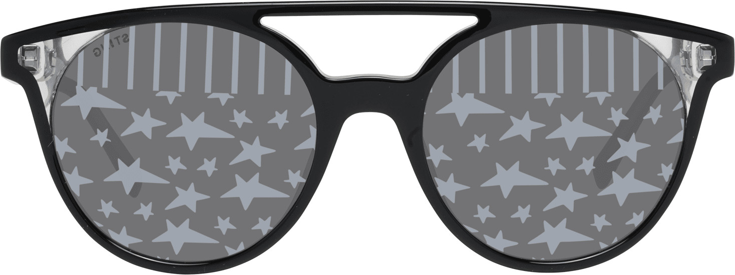 Sunglasses Sting