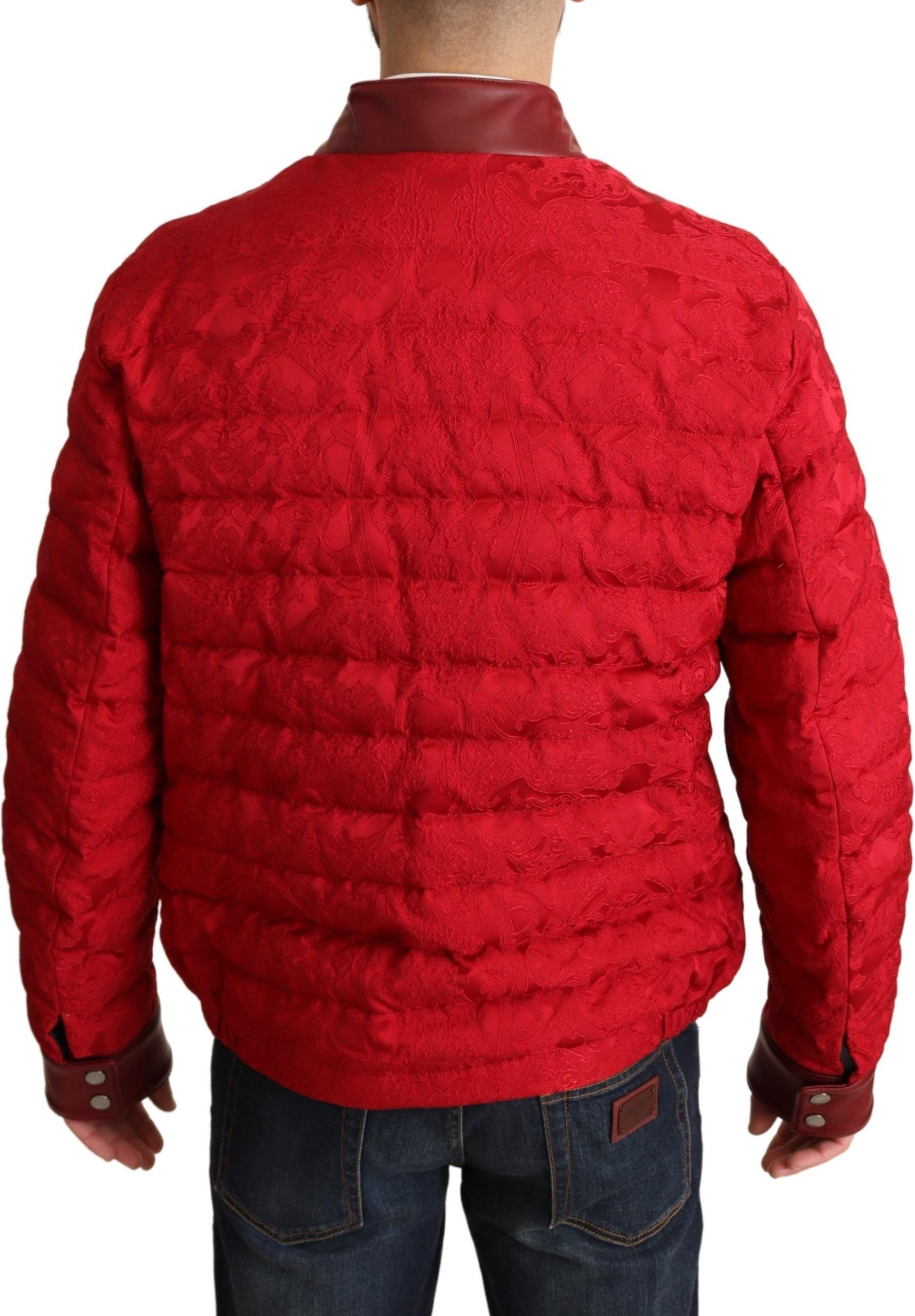 Jacket Dolce & Gabbana Bomber