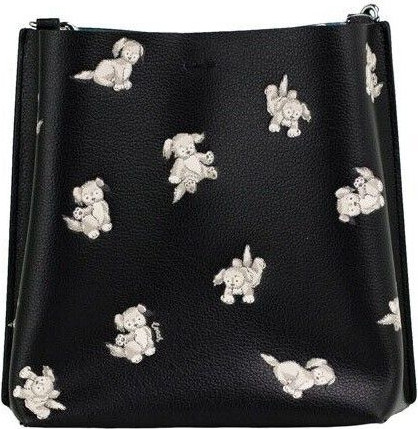 Crossbody Handbag Coach Mollie 22