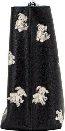 Crossbody Handbag Coach Mollie 22