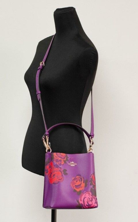 Handbag Coach Mollie 22