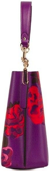 Handbag Coach Mollie 22