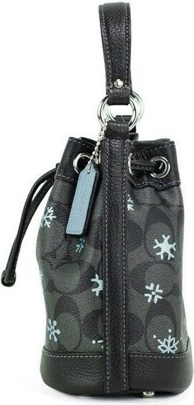Bucket Bag Coach Dempsey Small Snowflake Print