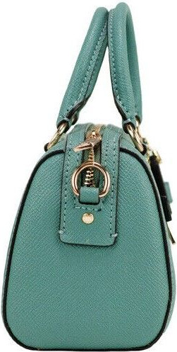 Satchel Crossbody Handbag Coach Mini Rowan