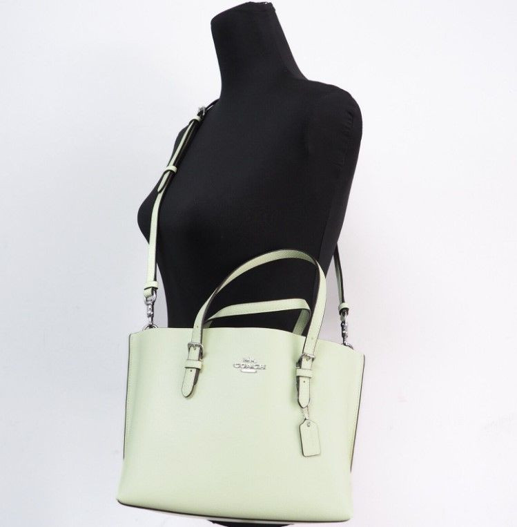 Tote Sumkasi Coach Mollie 25