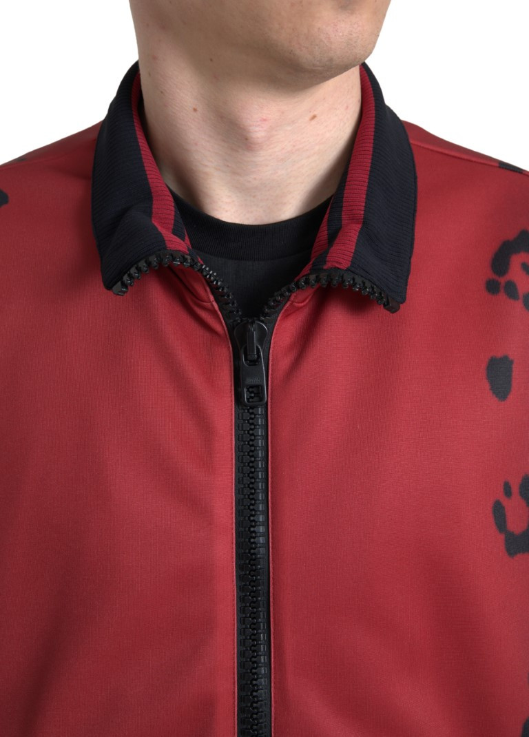 Bomber Jacket Dolce & Gabbana