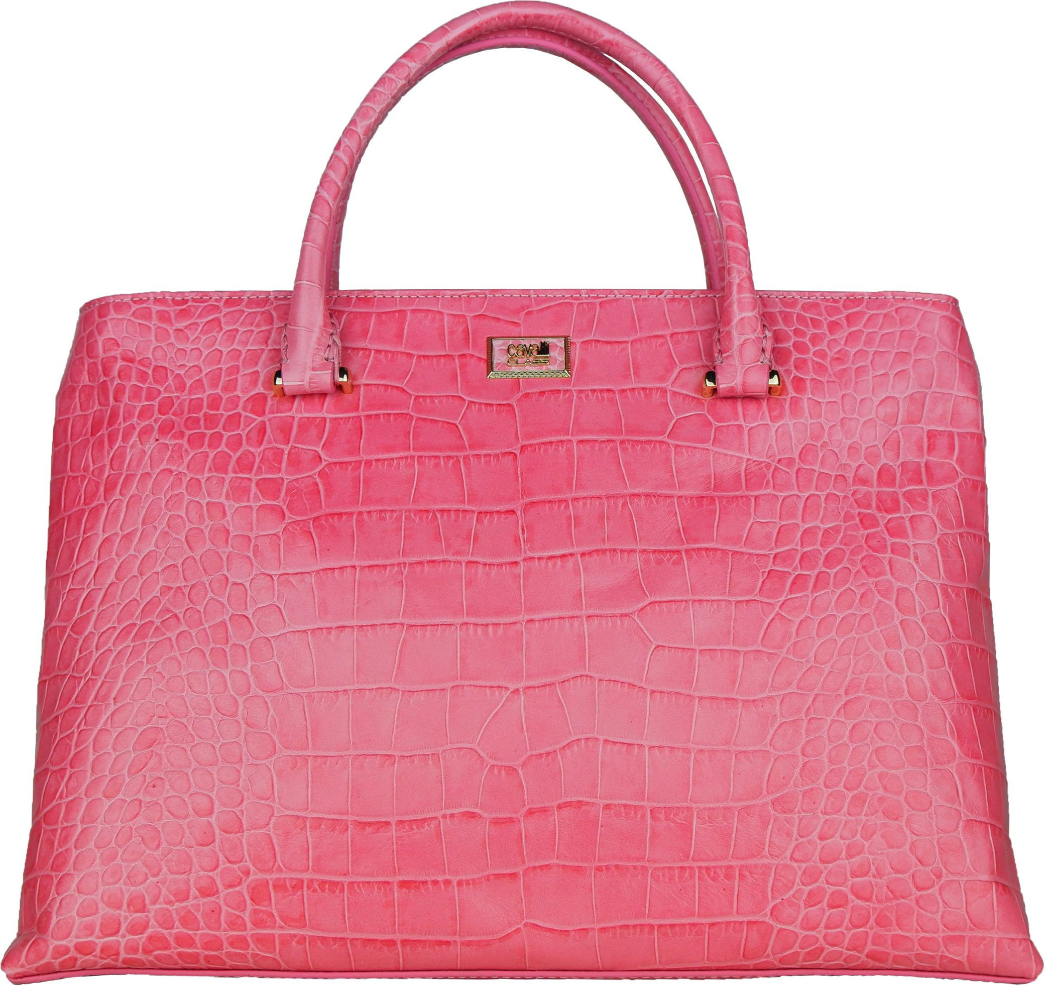 Handbag cavalli CLASS