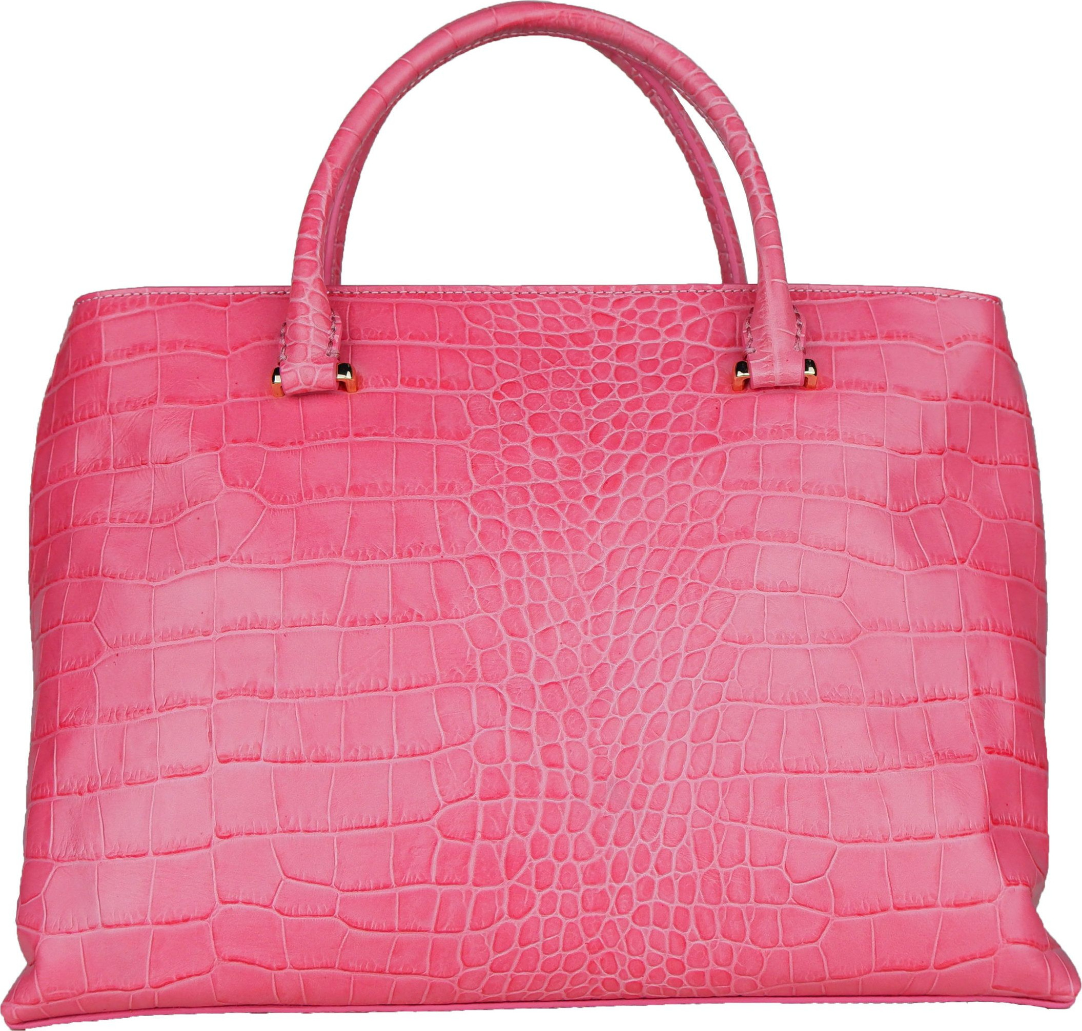 Handbag cavalli CLASS
