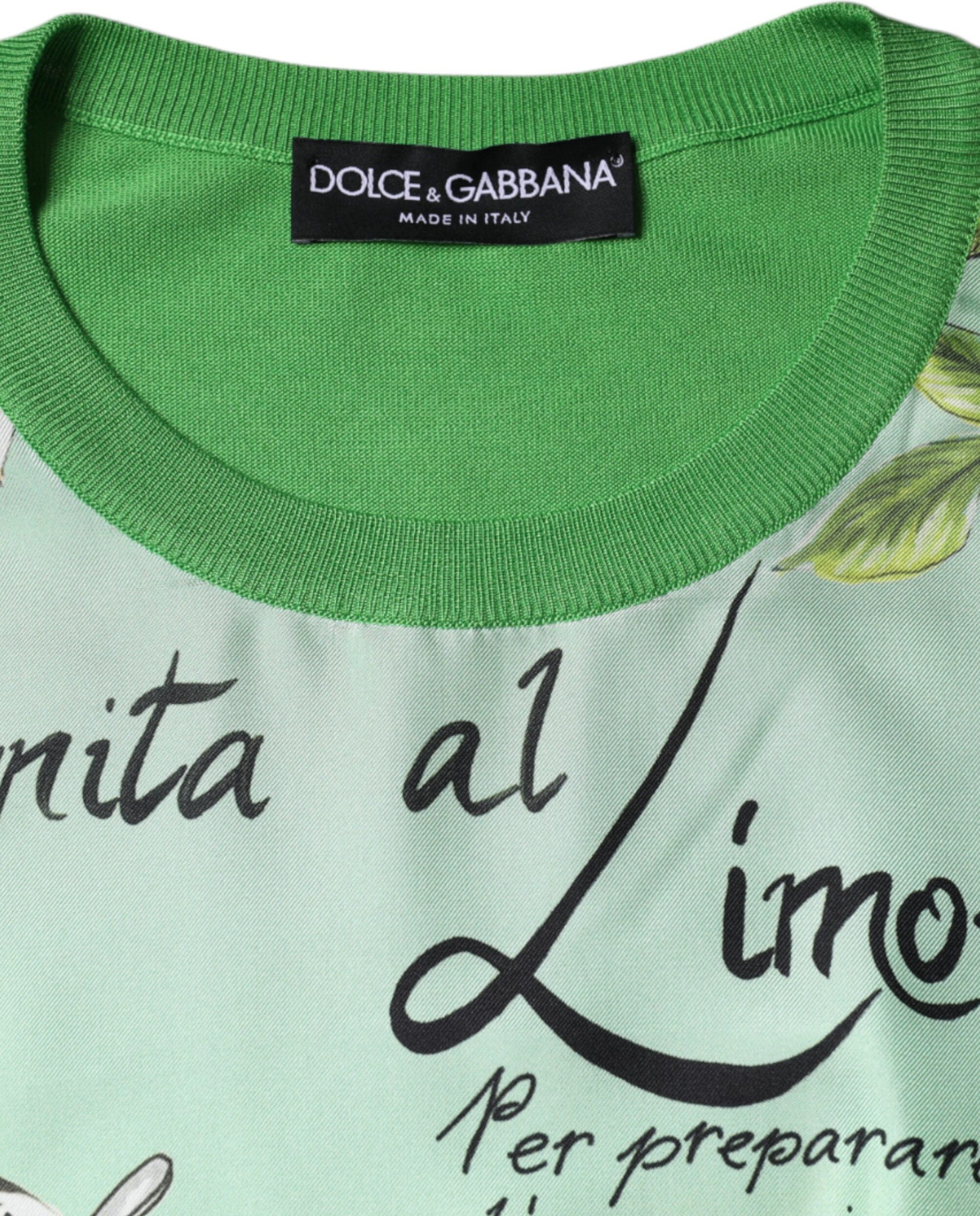 Dolce & Gabbana Yashil ipakdan tikilgan sviter Granita Al Limone