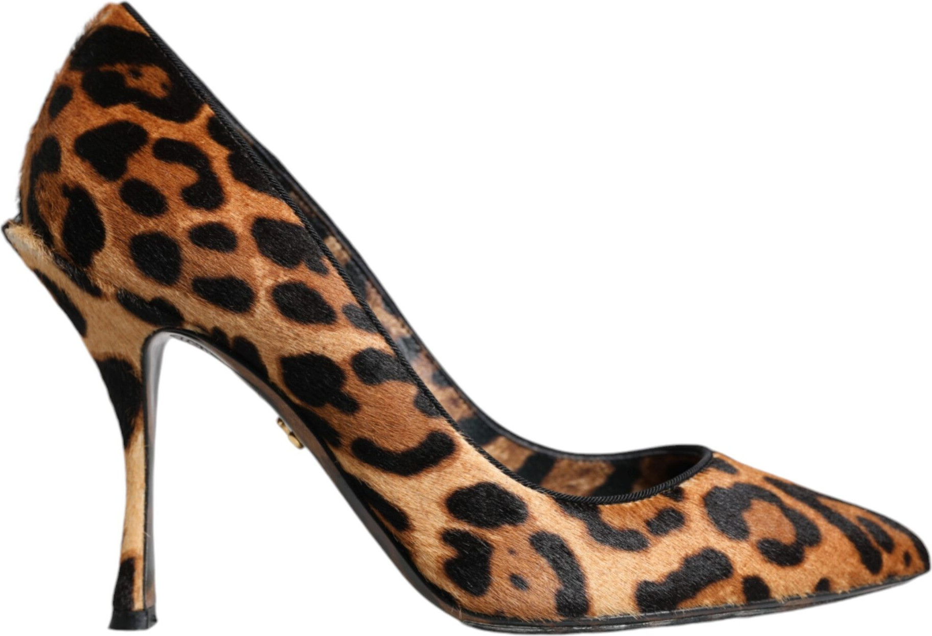 Tuyuqlar Dolce & Gabbana