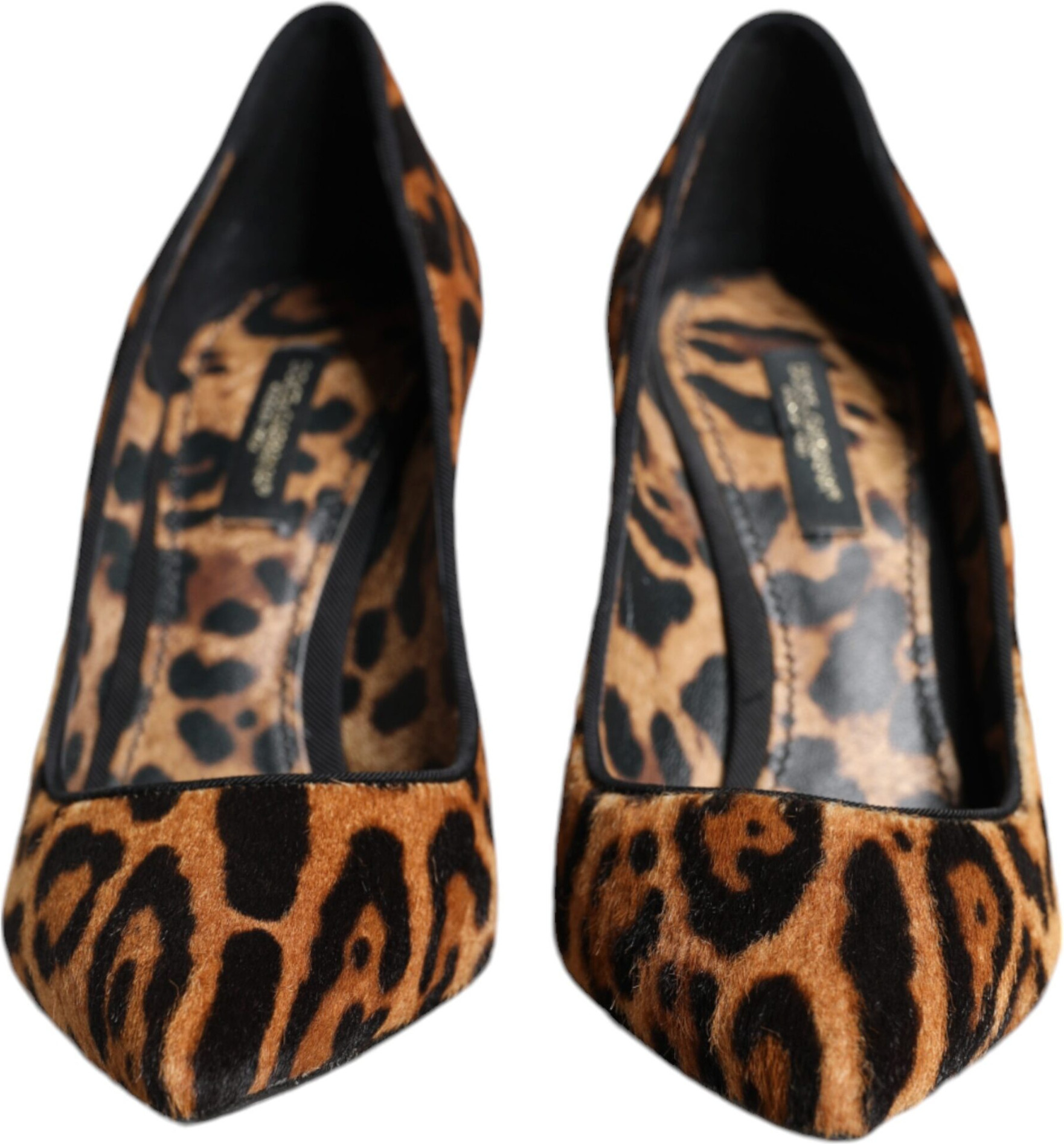 Tuyuqlar Dolce & Gabbana