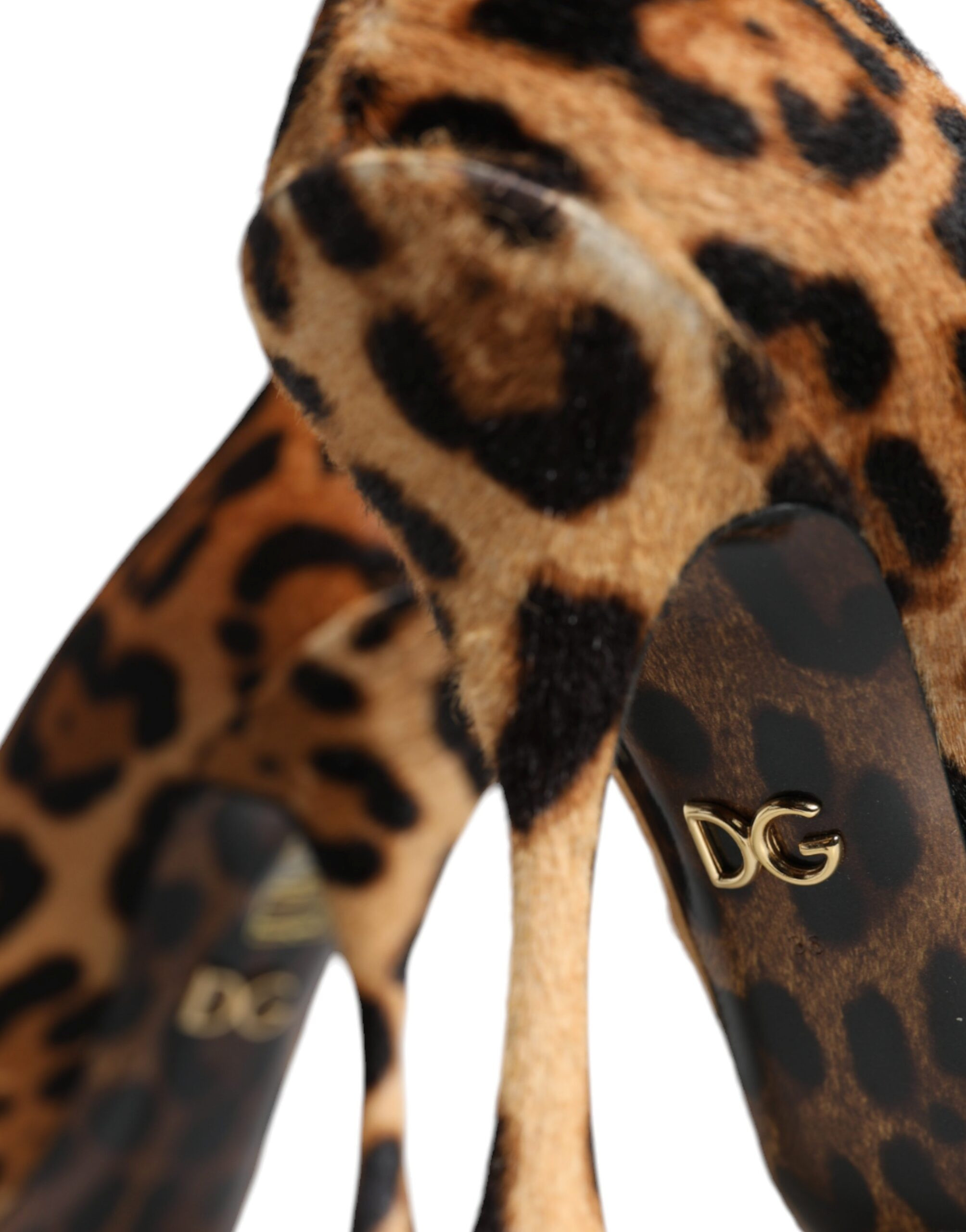 Tuyuqlar Dolce & Gabbana