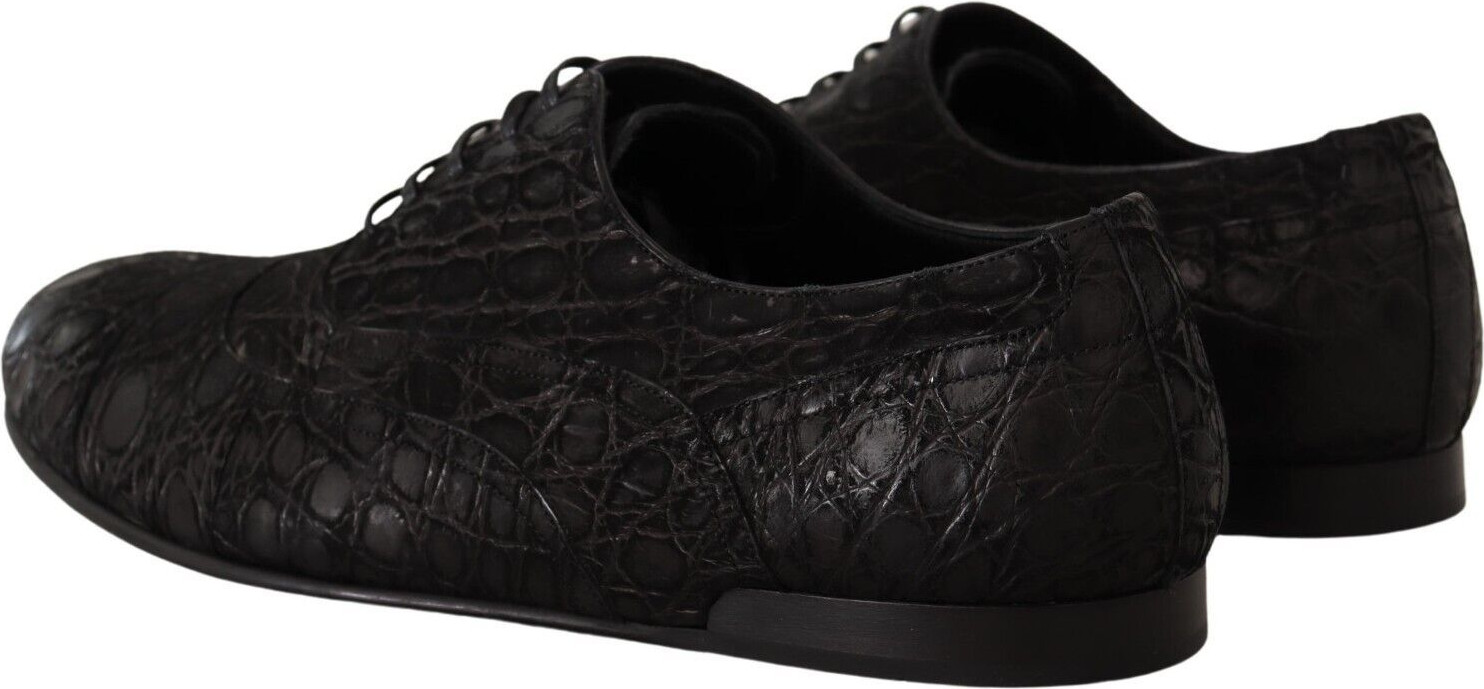 Oxford Shoes Dolce & Gabbana