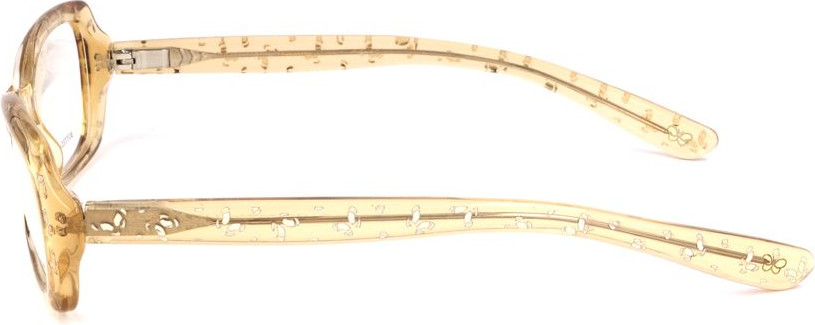 Frames Bottega Veneta