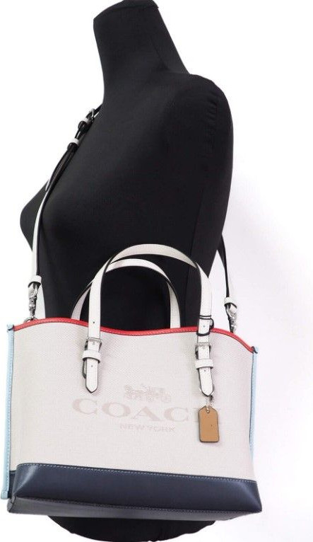 Tote Handbag Crossbody Purse Coach Mollie 25 Small Canvas Colorblock