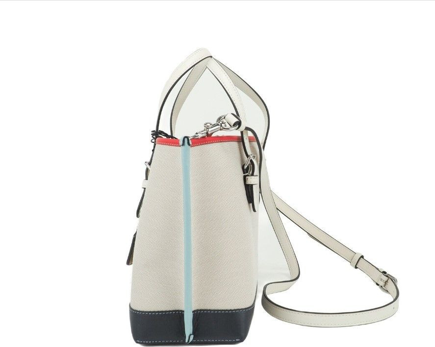 Tote Handbag Crossbody Purse Coach Mollie 25 Small Canvas Colorblock