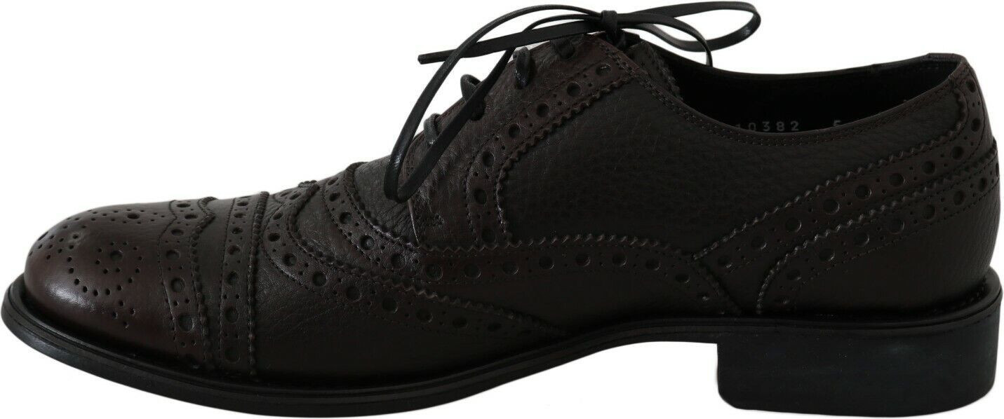 Brown Leather Wingtip Derby Formal Shoes by Dolce & Gabbana