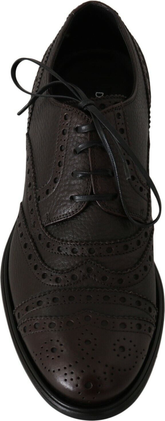 Brown Leather Wingtip Derby Formal Shoes by Dolce & Gabbana