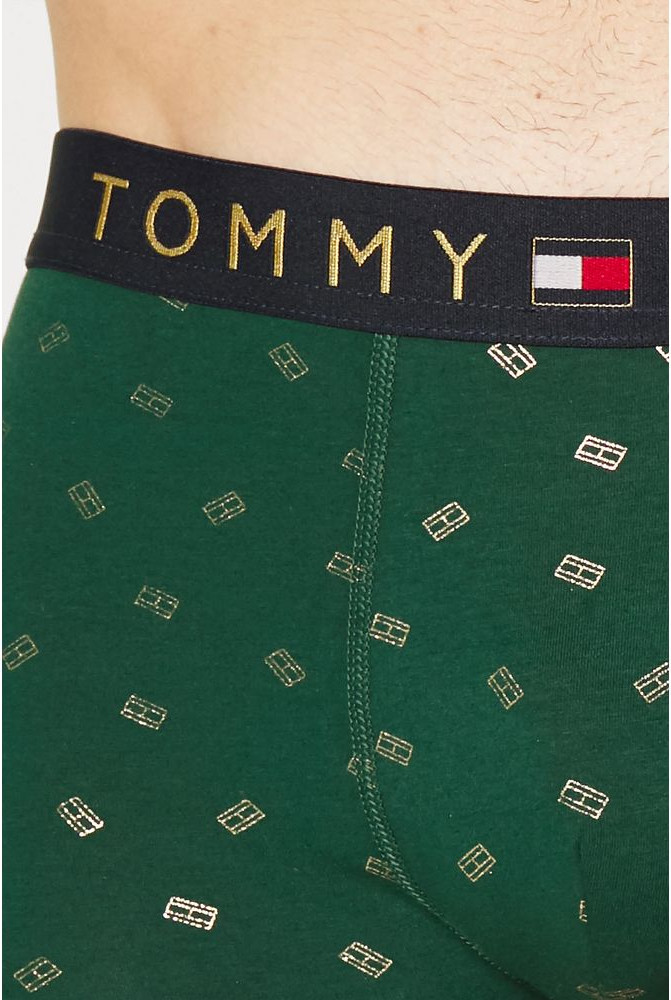 Комплект нижнего белья Tommy Hilfiger
