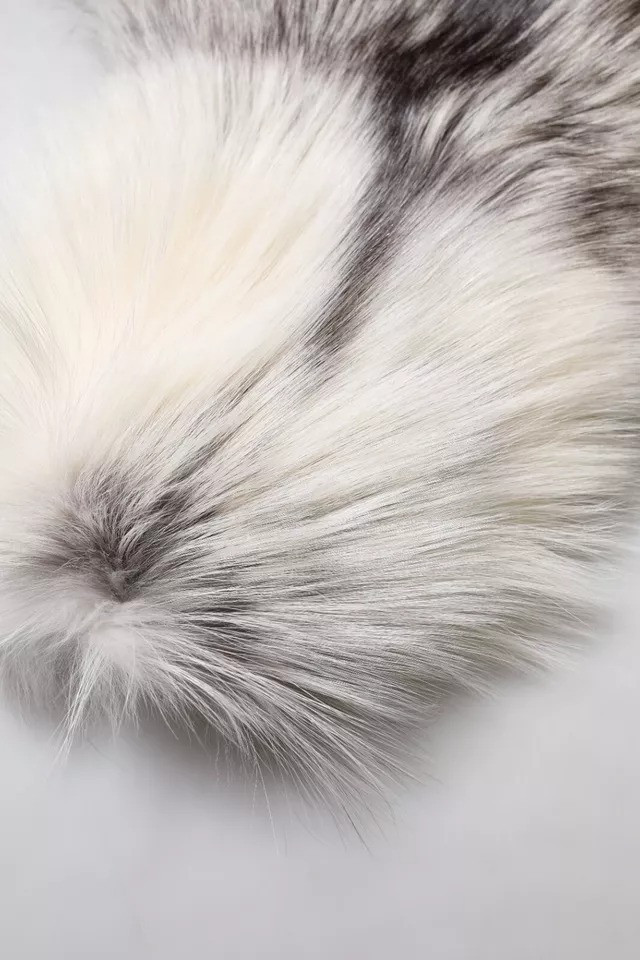 Scarf Dolce & Gabbana White Fox Fur Neck Wrap Warmer