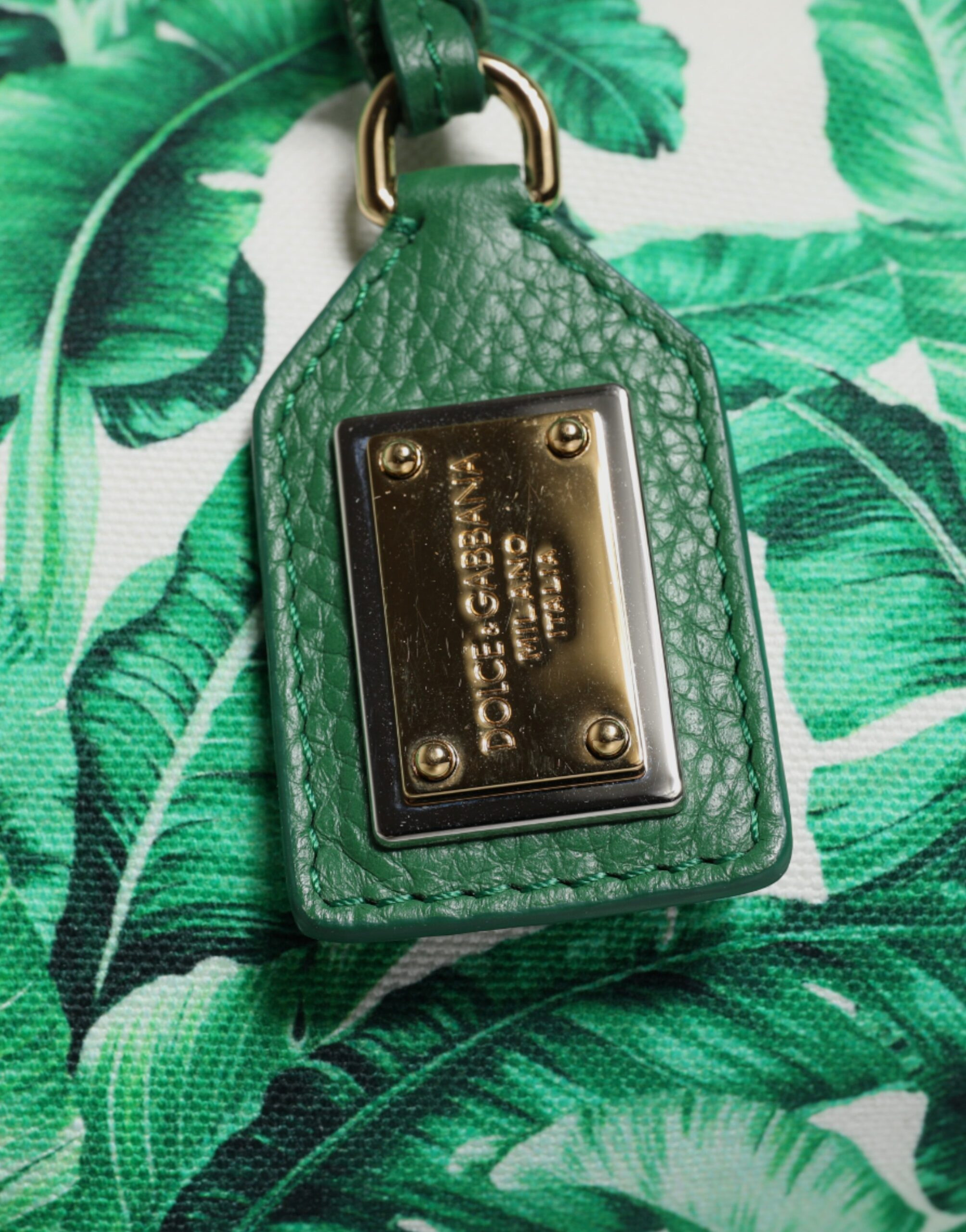 Sumka Dolce & Gabbana Yashil Kanvas Gullar Bog'i Ayollar uchun