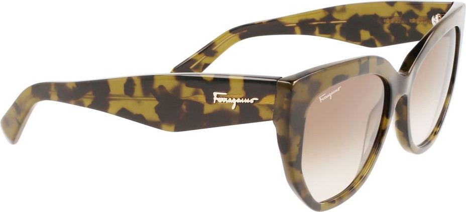 Sunglasses Ferragamo