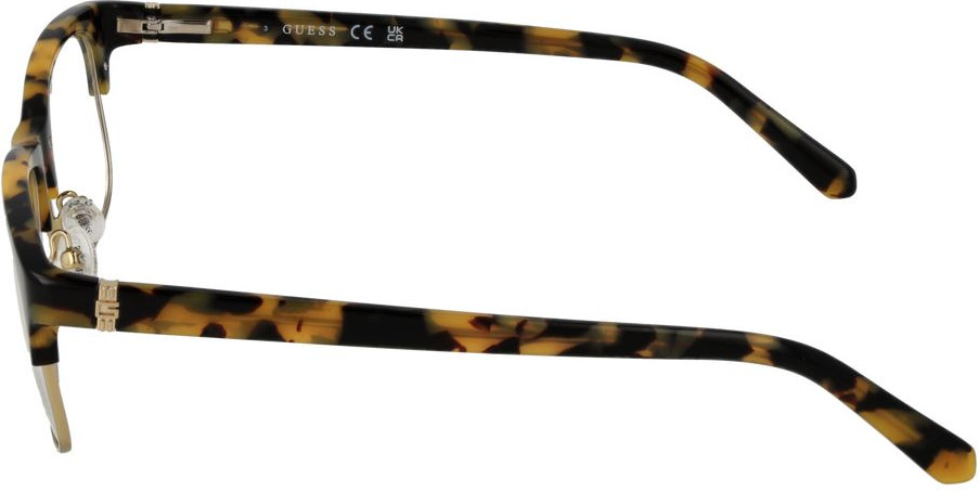 GUESS Glasses (Frames)
