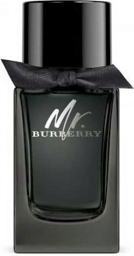 Burberry Mr. Burberry