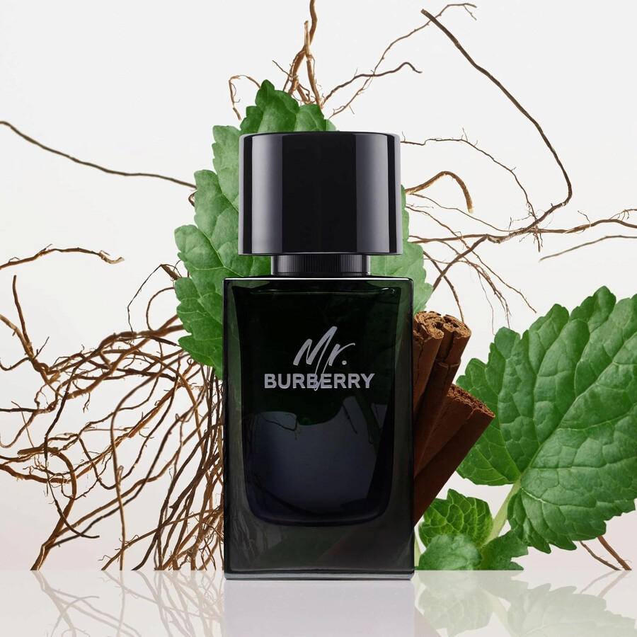 Burberry Mr. Burberry