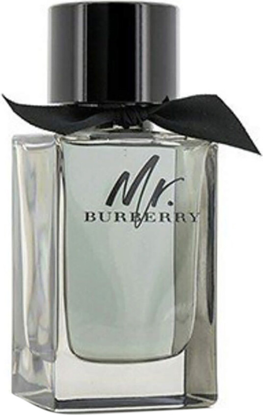Burberry Mr. Burberry EDT Zerstäuber