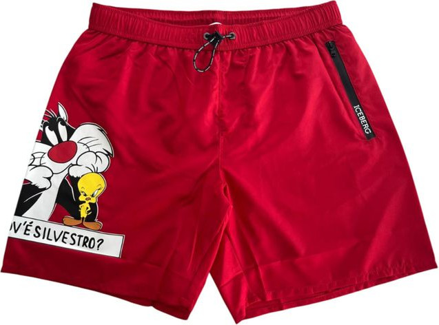 Swim Short ICEBERG