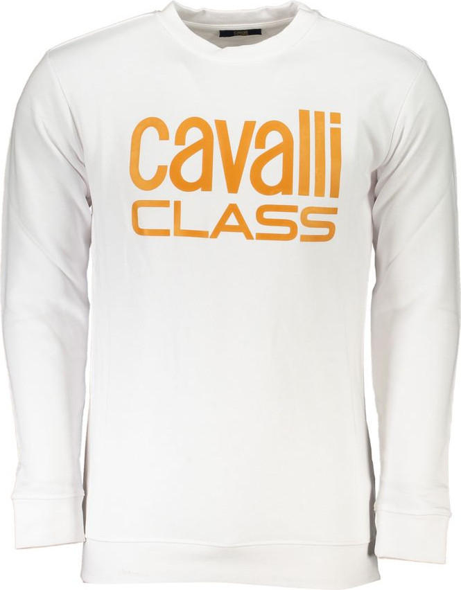 Свитшот Cavalli CLASS