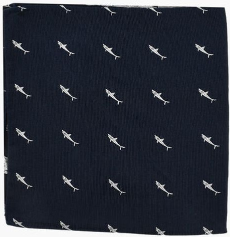 Pocket Handkerchief Corneliani CC COLECTION
