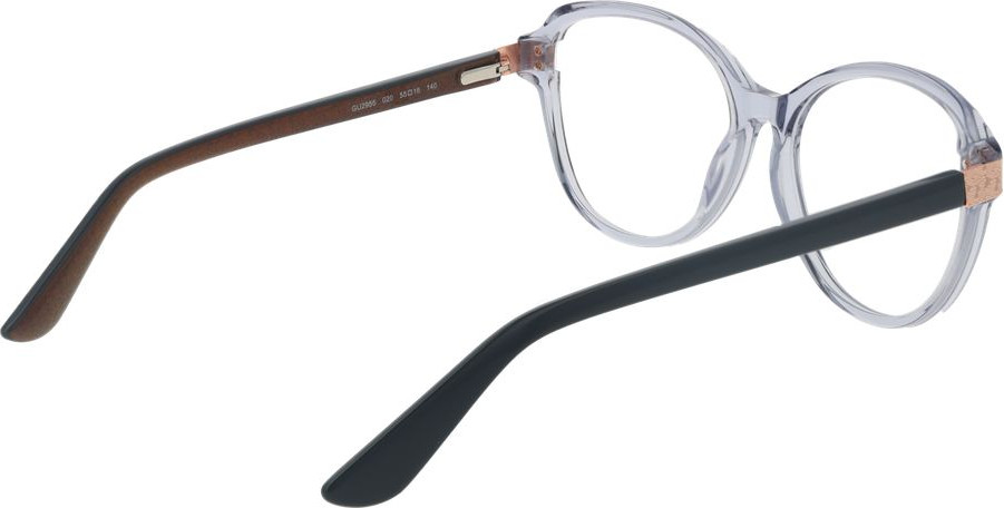 Glasses Frames GUESS