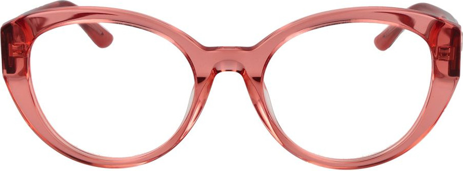 Glasses GUESS
