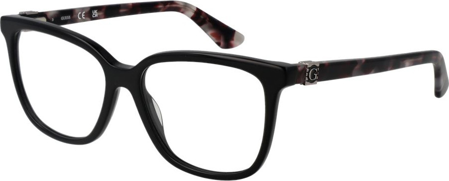 Glasses Frames GUESS
