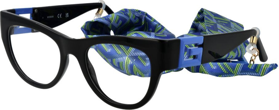 Glasses (Frames) GUESS