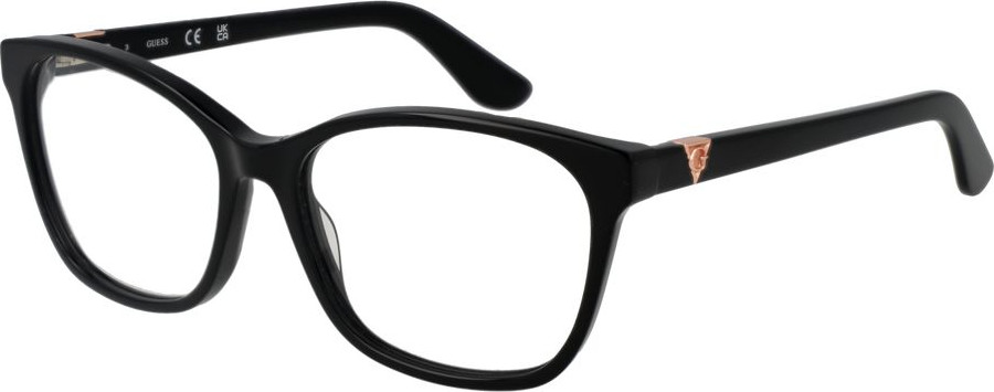 Glasses GUESS