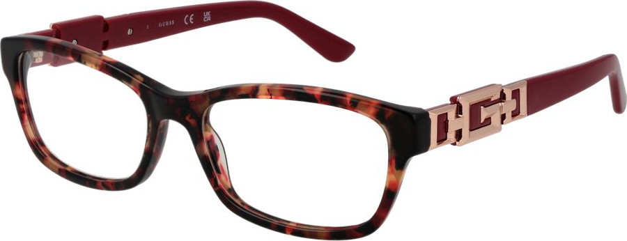 Acetate Glasses (Frames) GUESS