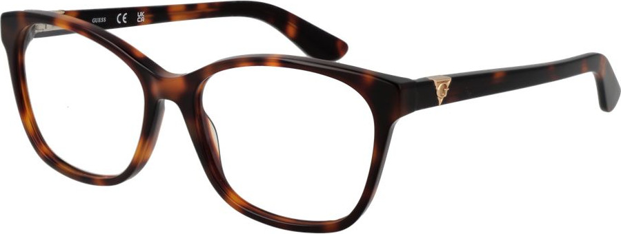 Glasses GUESS