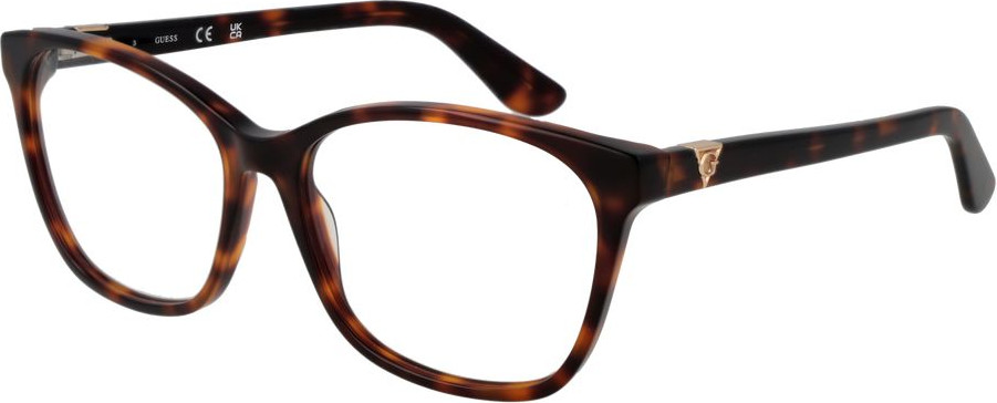 GUESS Bracetate Glasses