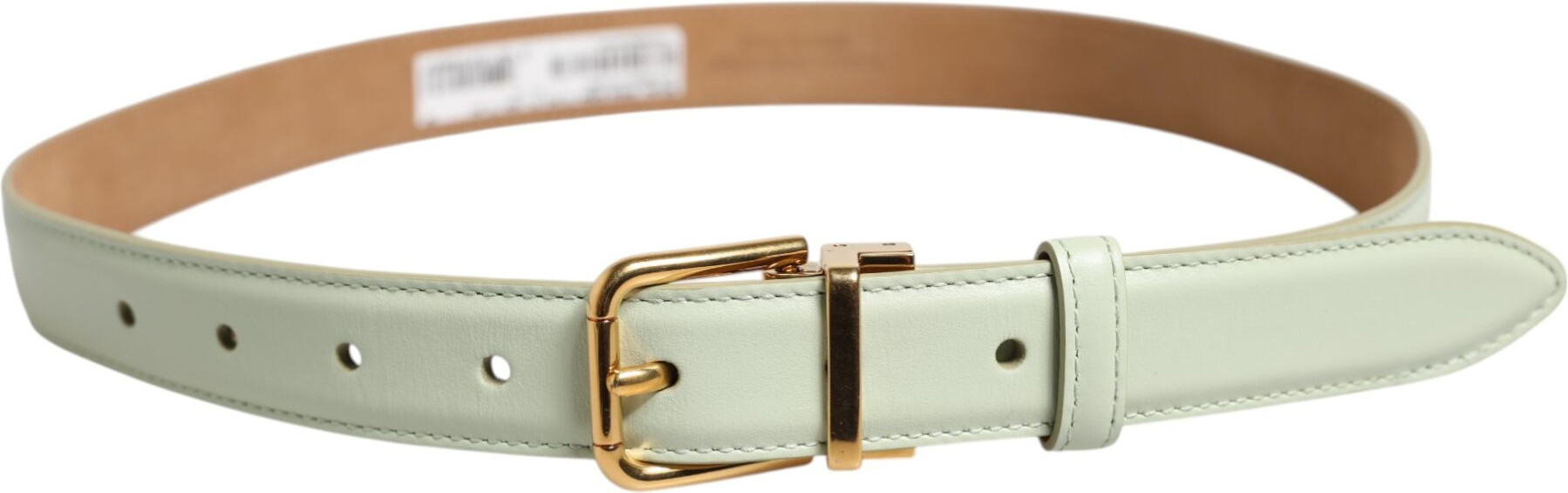 Belt Dolce & Gabbana Light Green Leather Gold Metal Buckle Belt