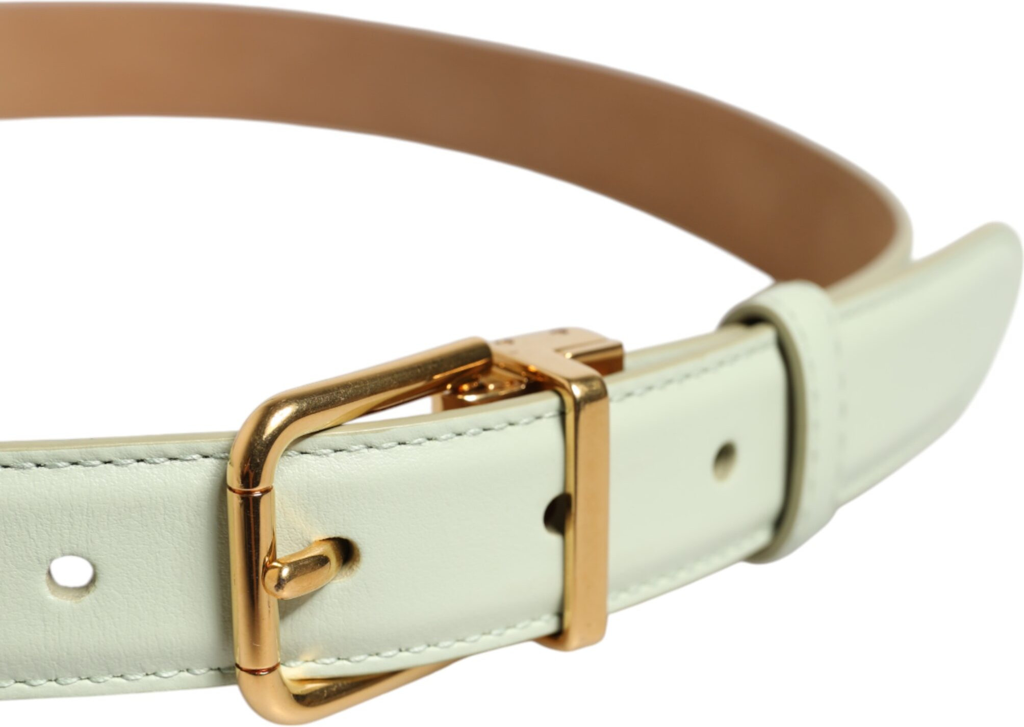 Belt Dolce & Gabbana Light Green Leather Gold Metal Buckle Belt