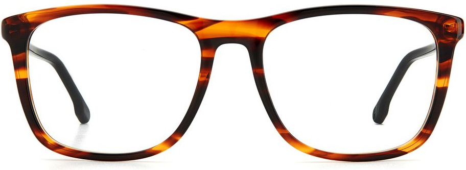 Glasses Carrera