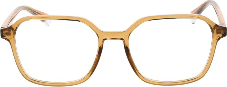 Eyeglasses Polaroid Beige Polyamide