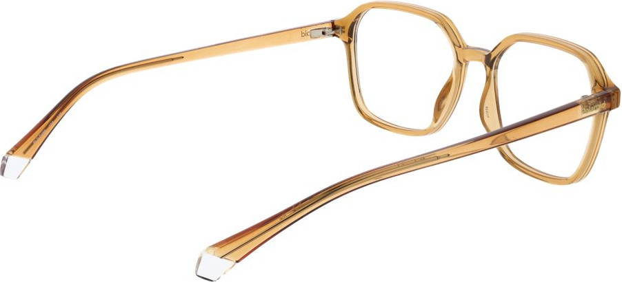 Eyeglasses Polaroid Beige Polyamide