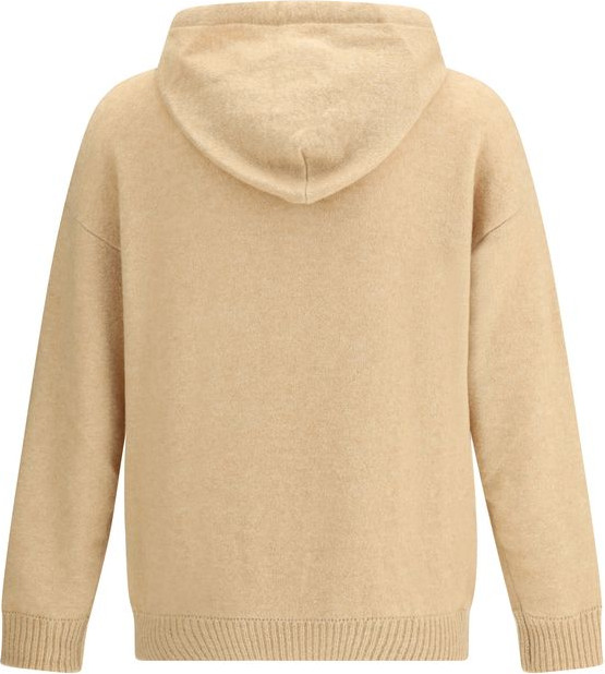 Laneus Hoodie