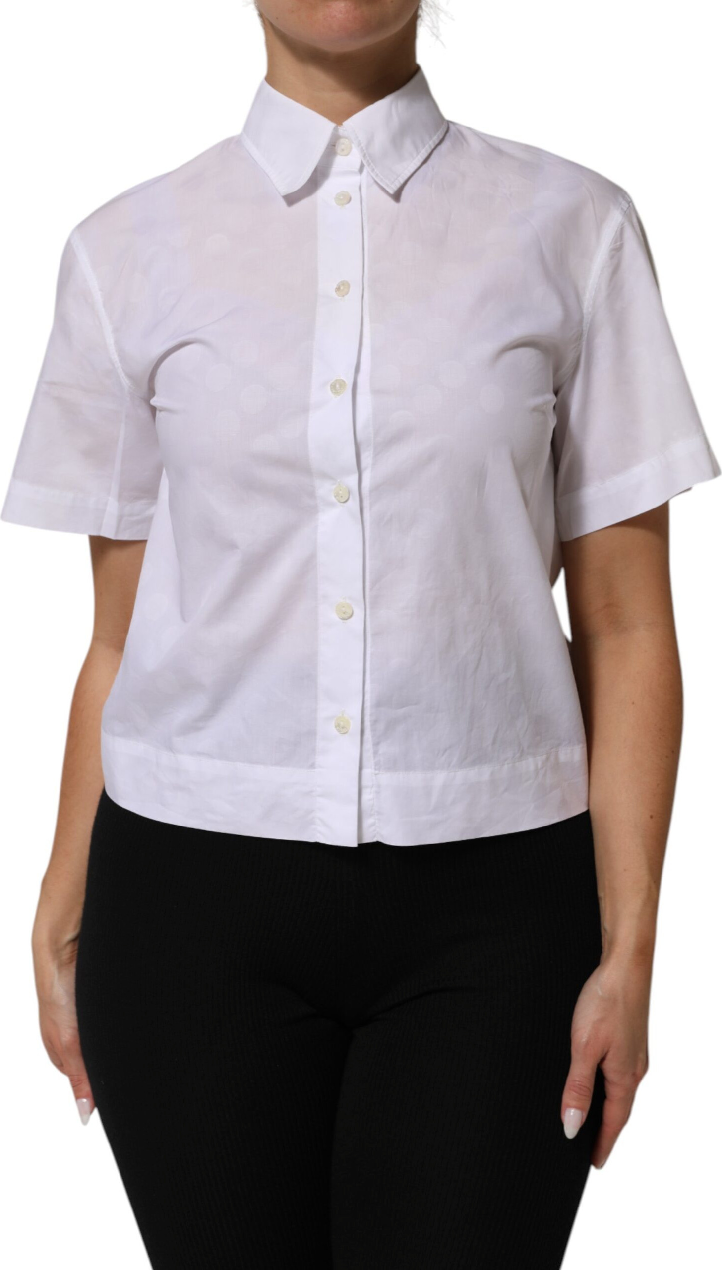 Dolce & Gabbana polosi