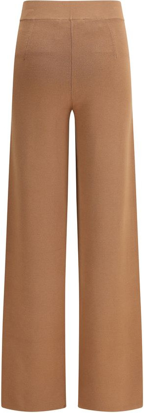 Brown Viscose Casual Pants